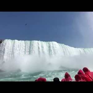 Meet your Posher, Camilla